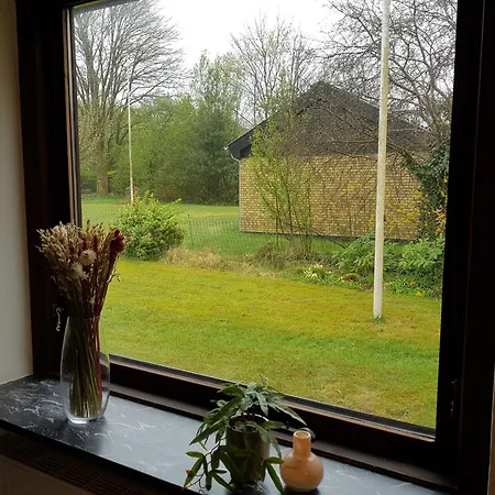 In - 500 M From Legohouse