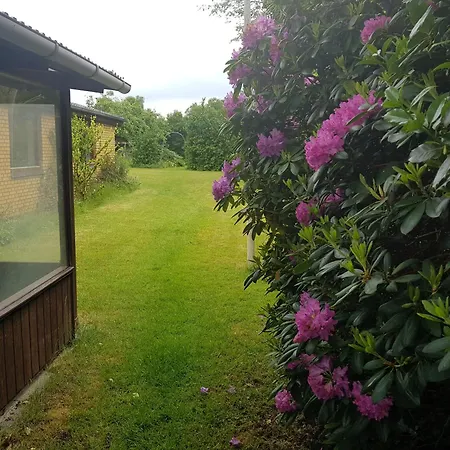 Διαμέρισμα In - 500 M From Legohouse